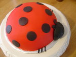 Brian's shed project, a ladybug cake and of course, the girls!